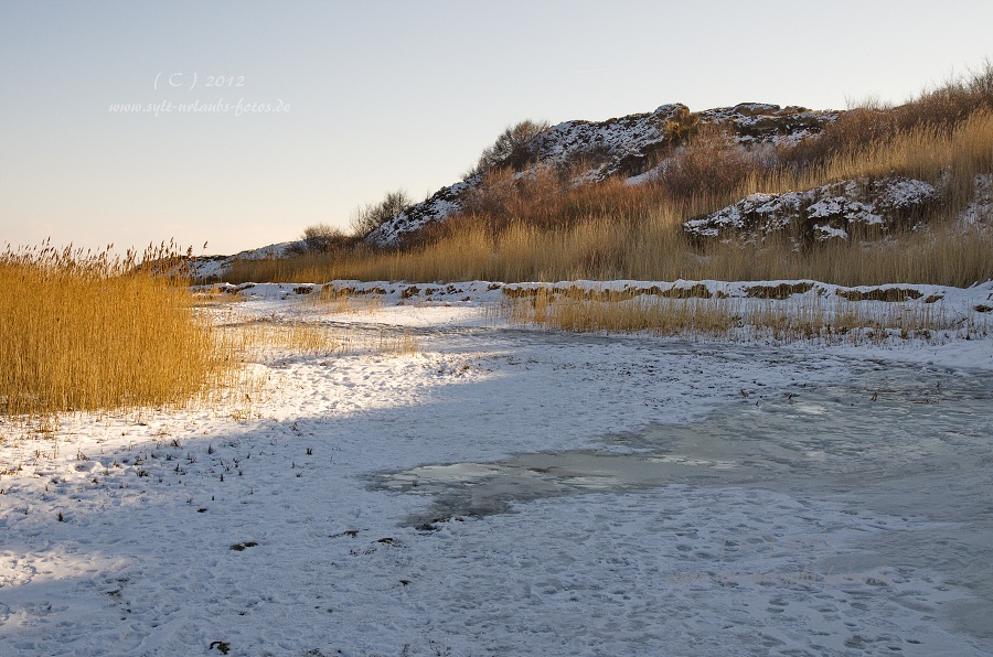 Sylt Winter 2012 - am Morsum Kliff