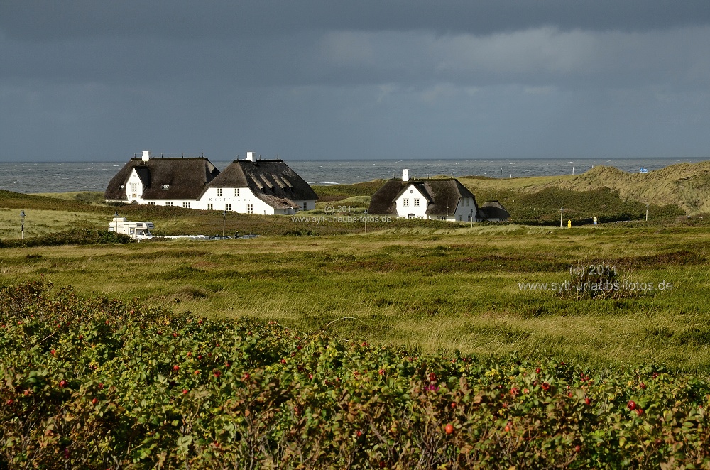 Sylt, einfach nur schön ! 