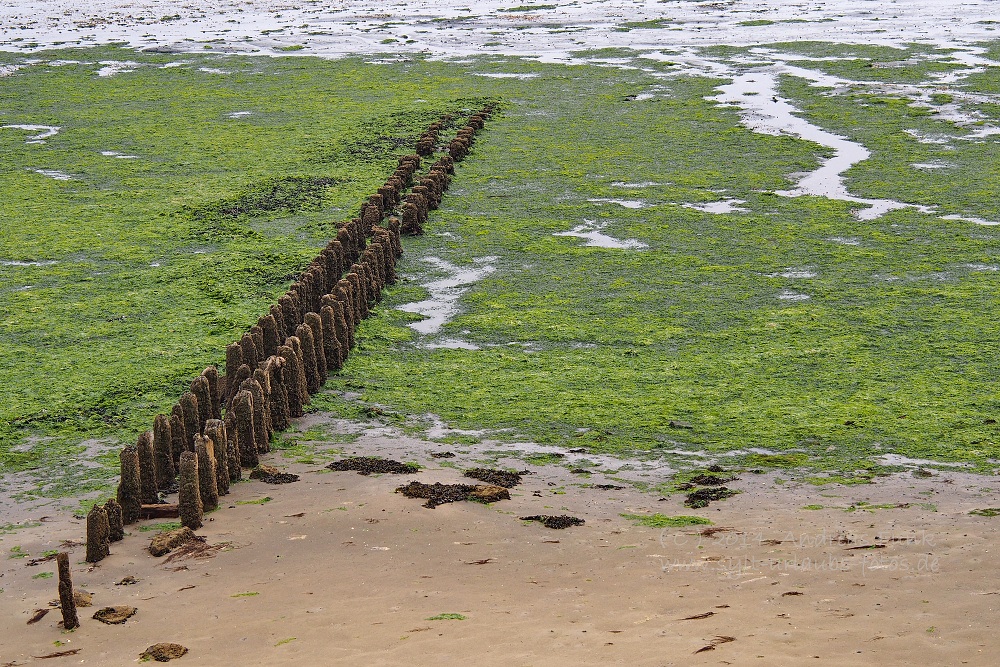 Amrum Wittdün August 2013