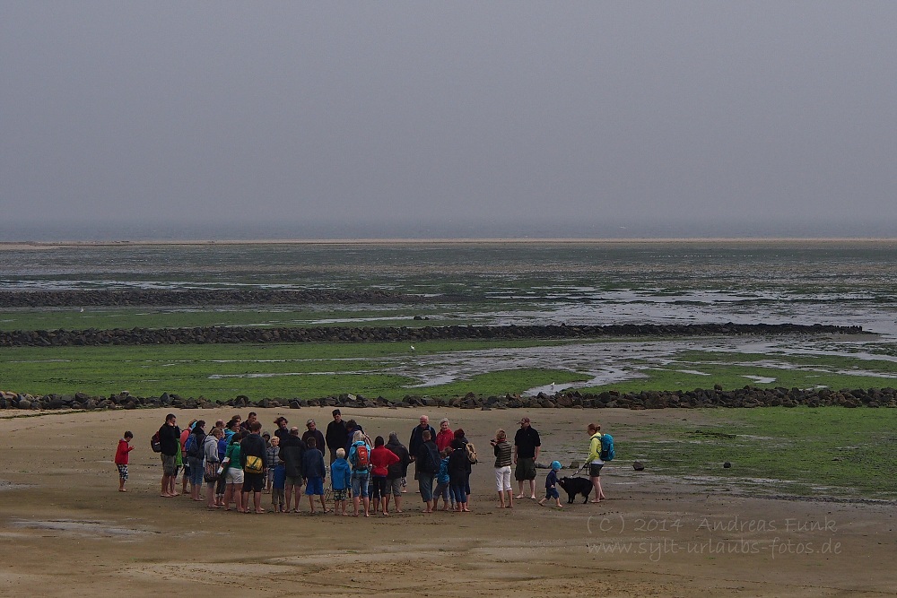 Amrum Wittdün August 2013