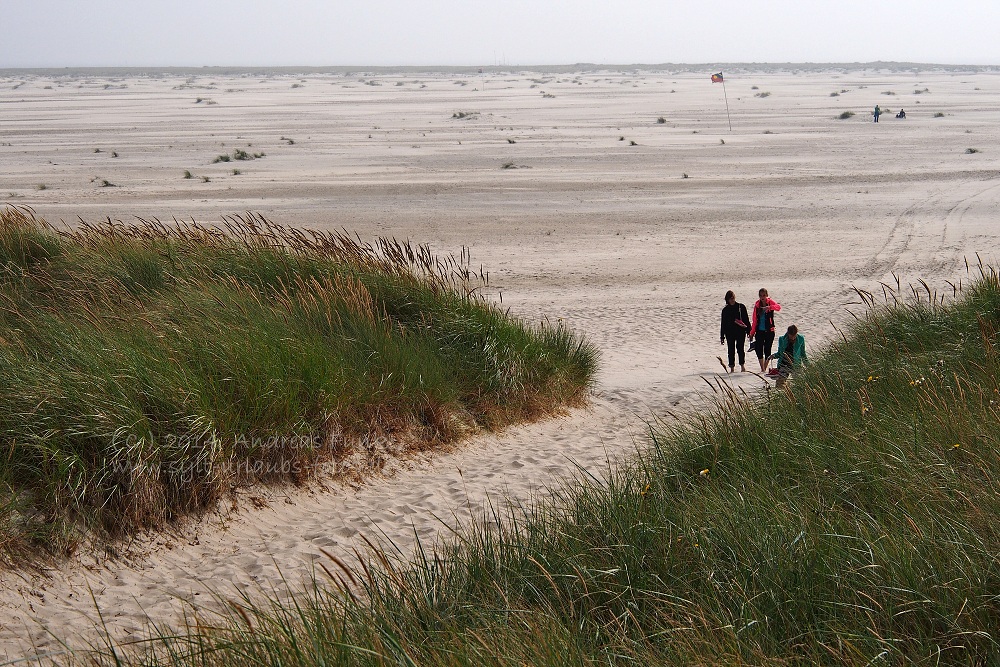 Amrum Wittdün August 2013