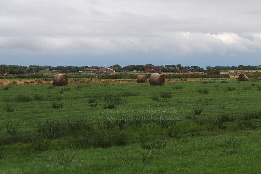 Sylt Archsum