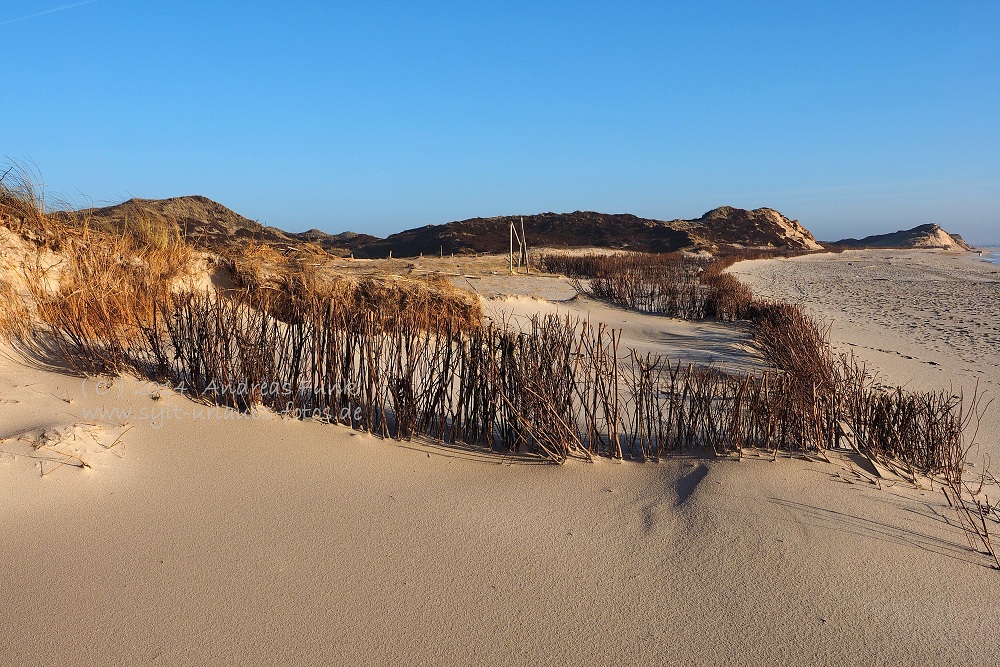 Sylt Hörnum Odde Februar 2014