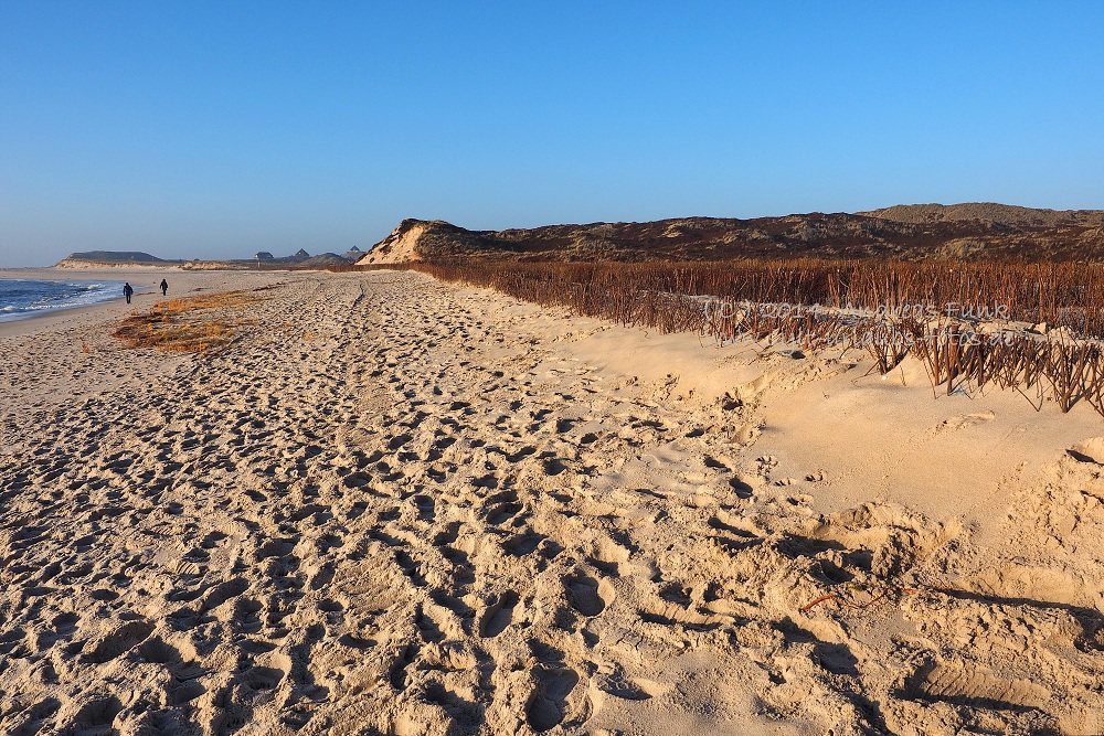 Sylt Hörnum Odde Februar 2014