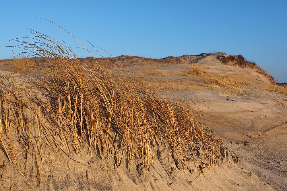 Sylt Hörnum Odde Februar 2014