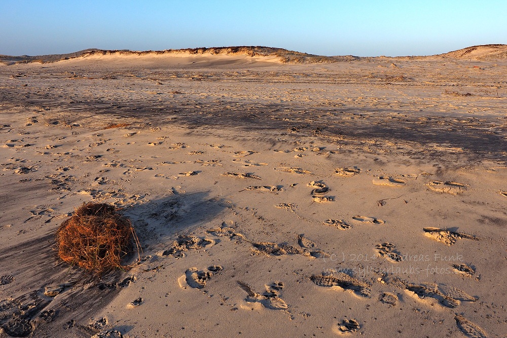 Sylt Hörnum Odde Februar 2014