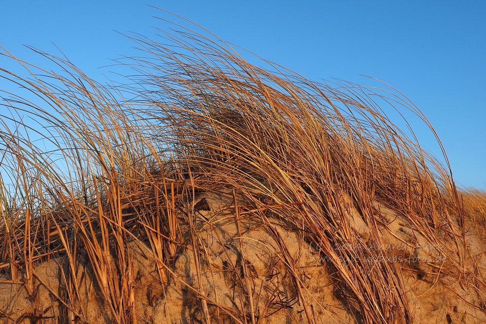 Sylt Hörnum Odde Februar 2014