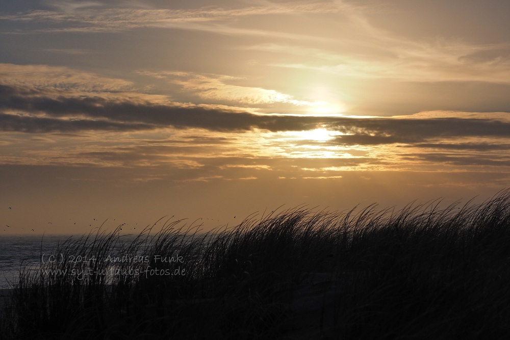 Sylt Hörnum Odde Februar 2014