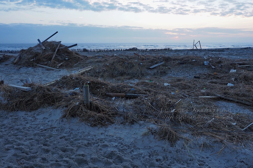 Sylt Hörnum Odde Februar 2014