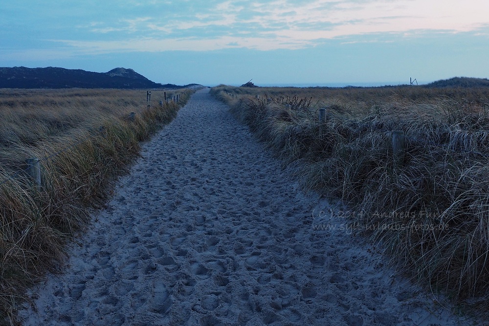 Sylt Hörnum Odde Februar 2014