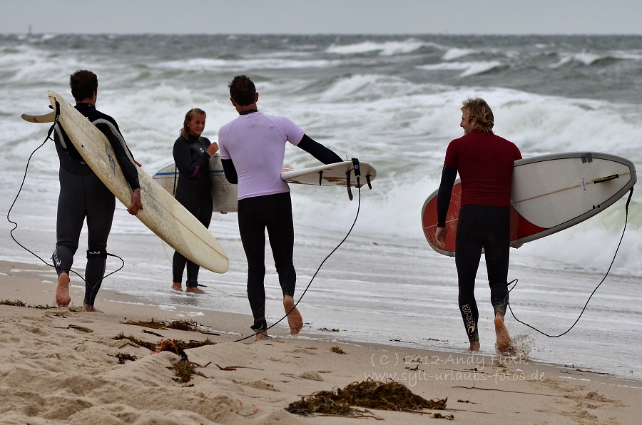 Sylt Kampen Buhne 16 Longboardfestival