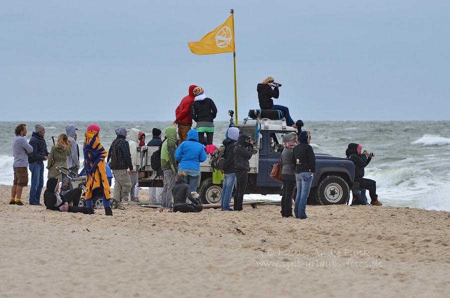 Sylt Kampen Buhne 16 Longboardfestival