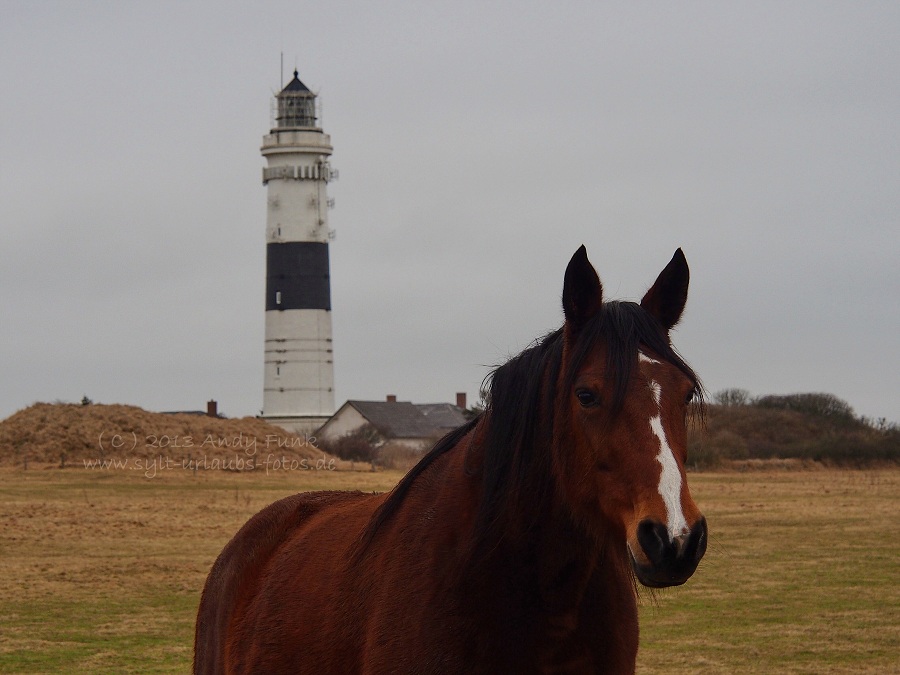 Sylt Kampen, rund um den Leuchtturm