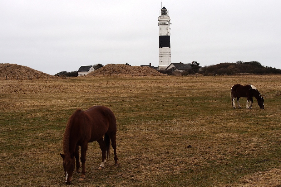 Sylt Kampen, rund um den Leuchtturm