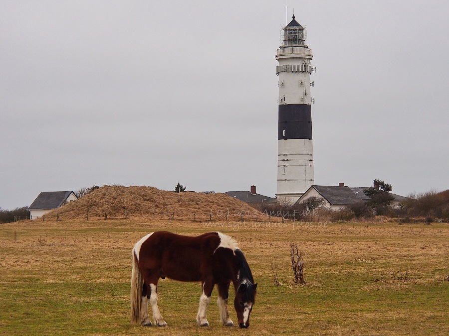 Sylt Kampen, rund um den Leuchtturm