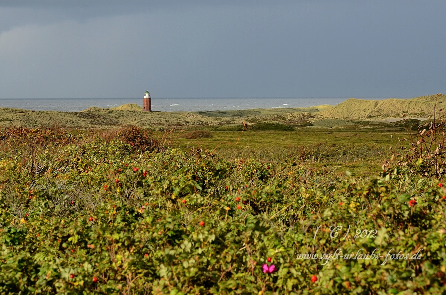 Sylt - Kampen, der Ort und die Dünen 