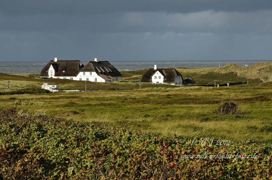 Sylt - Kampen, der Ort und die Dünen 