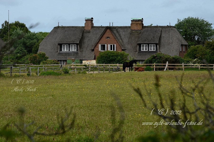 Sylt - Kampen, der Ort und die Dünen 