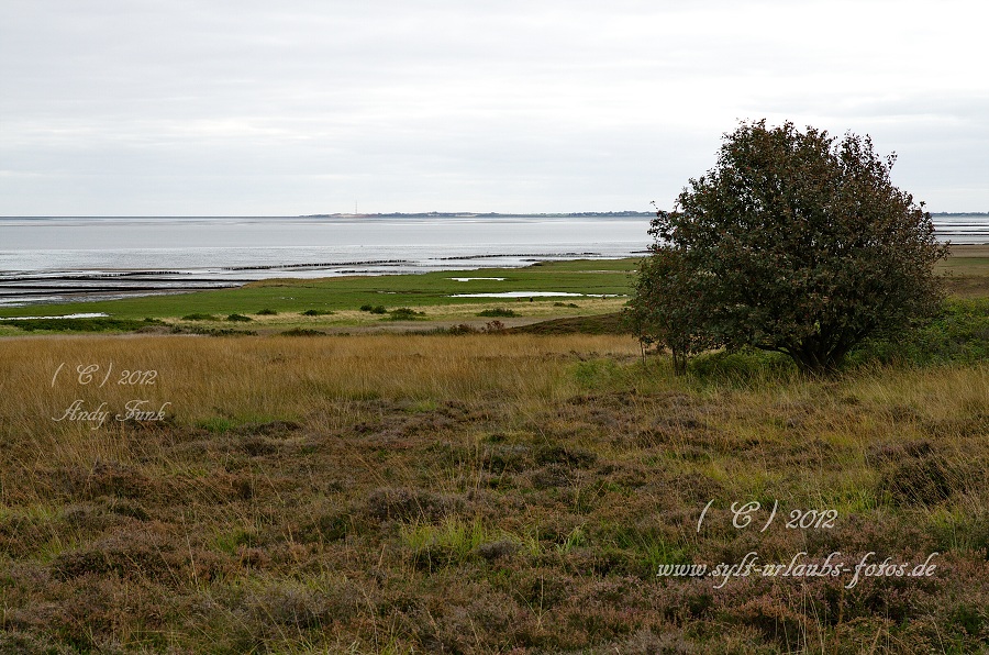 Sylt - Kampen, der Ort und die Dünen 