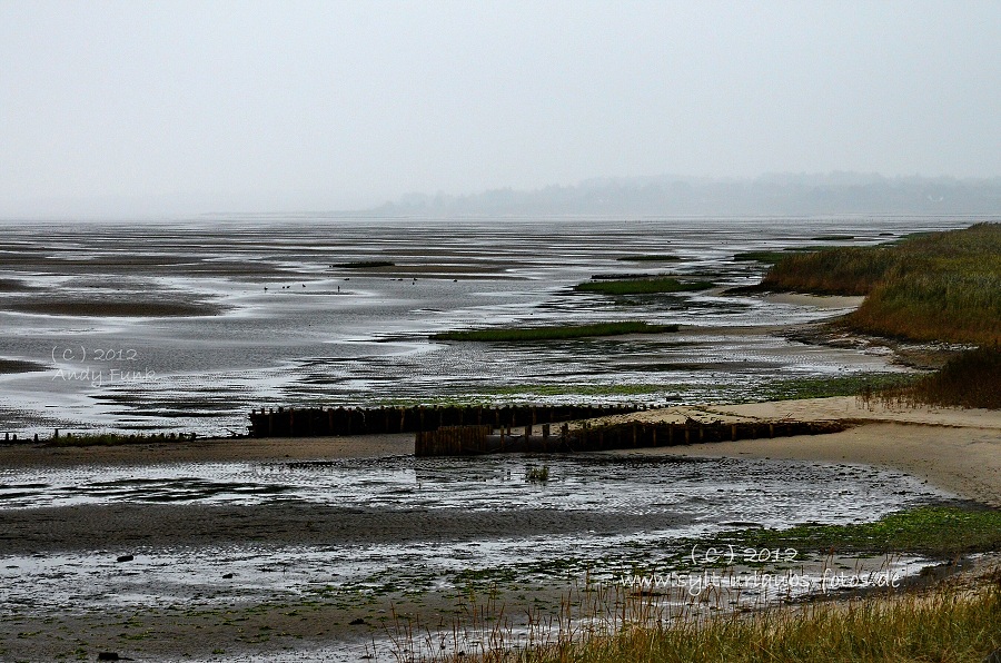 Sylt Kampen Vogelkoje und Wattenmeer