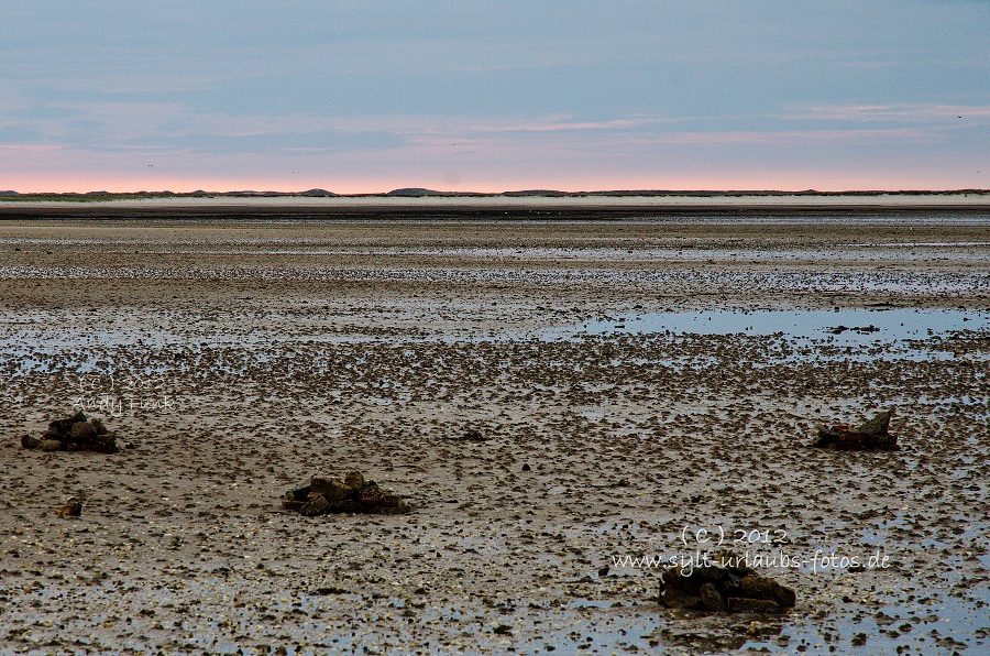 Sylt List Wattenmeer