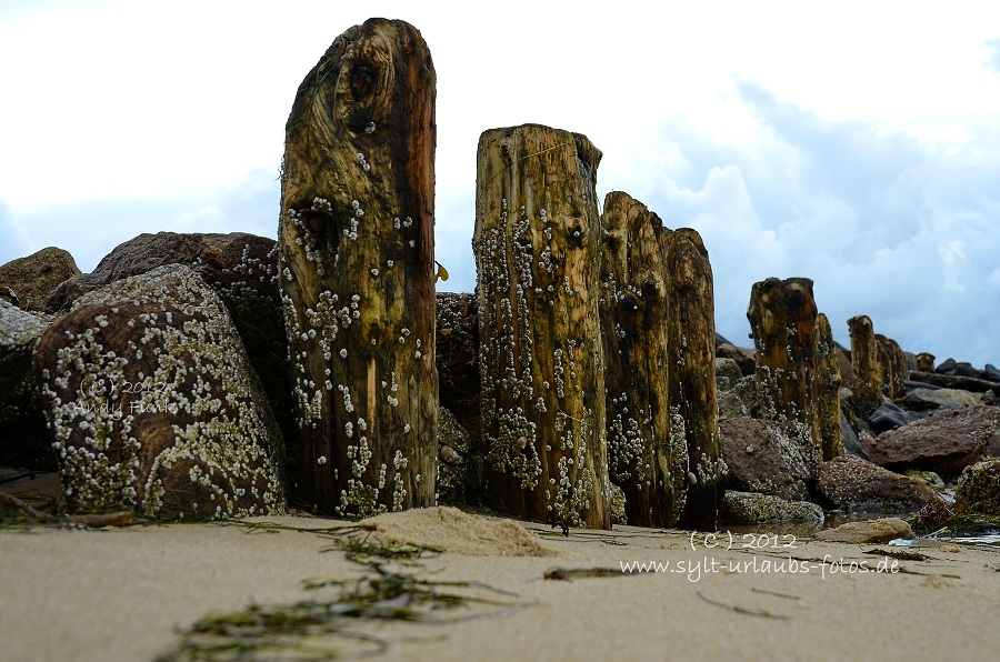 Sylt List Wattenmeer