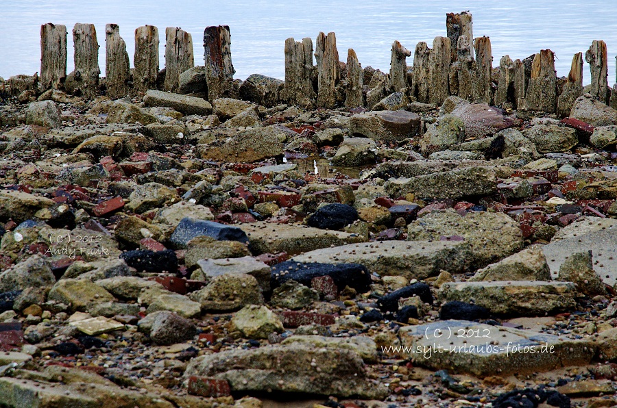 Sylt List Wattenmeer