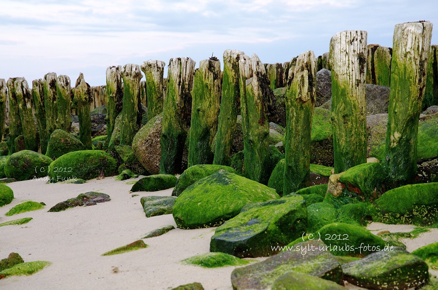 Sylt List Wattenmeer