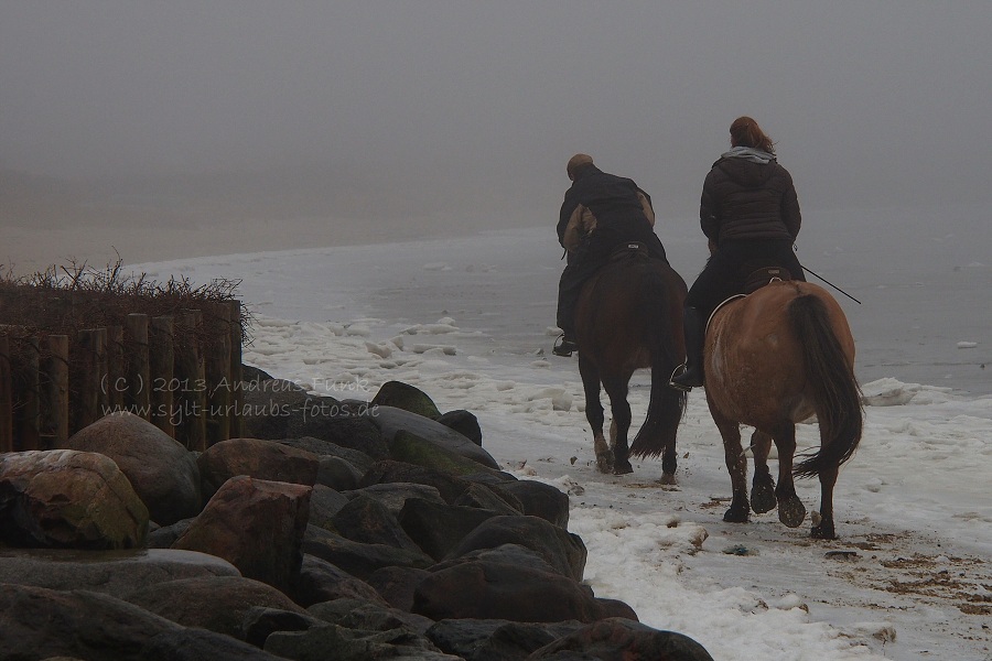 Sylt Winterspaziergang im Nebel Munkmarsch / Keitum