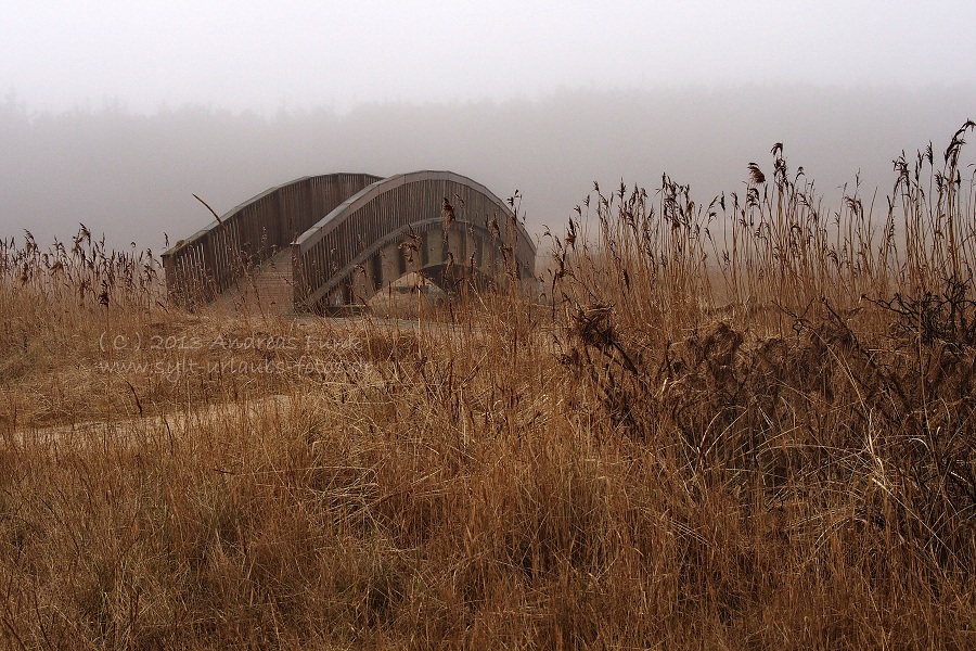 Sylt Winterspaziergang im Nebel Munkmarsch / Keitum