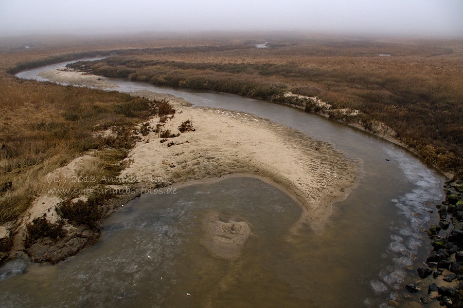 Sylt Winterspaziergang im Nebel Munkmarsch / Keitum