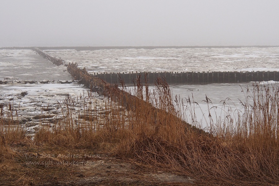 Sylt Winterspaziergang im Nebel Munkmarsch / Keitum