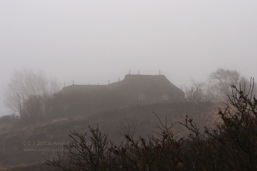 Sylt Winterspaziergang im Nebel Munkmarsch / Keitum