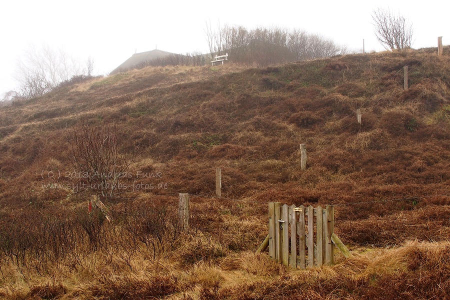 Sylt Winterspaziergang im Nebel Munkmarsch / Keitum