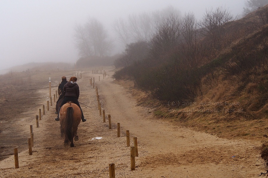 Sylt Winterspaziergang im Nebel Munkmarsch / Keitum