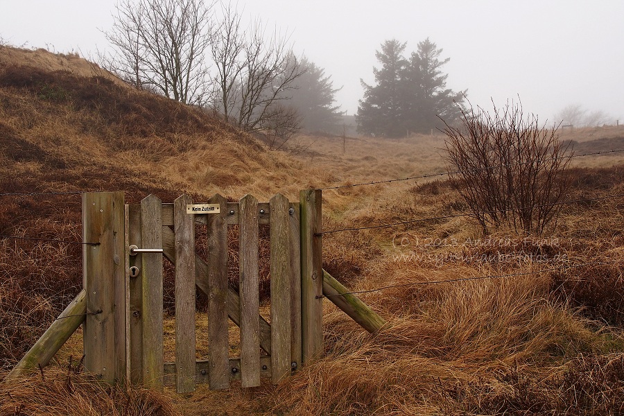 Sylt Winterspaziergang im Nebel Munkmarsch / Keitum