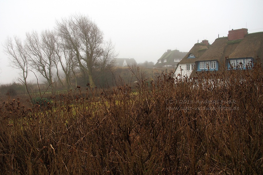 Sylt Winterspaziergang im Nebel Munkmarsch / Keitum