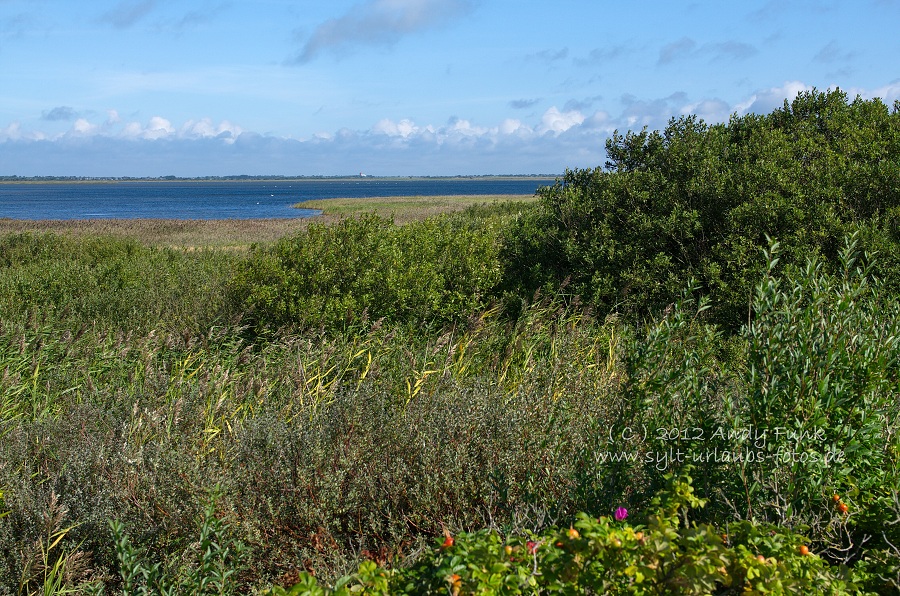 Sylt Rantum Hafen / Wattenmeer