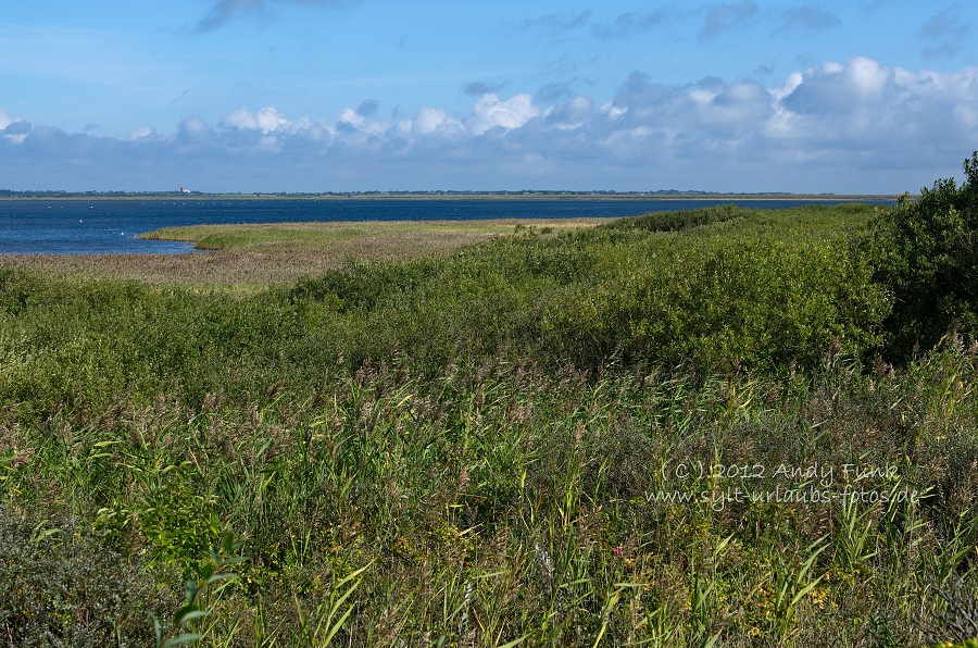 Sylt Rantum Hafen / Wattenmeer