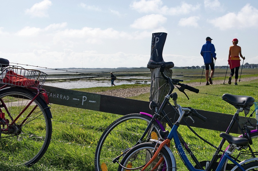 Sylt Rantum Hafen / Wattenmeer