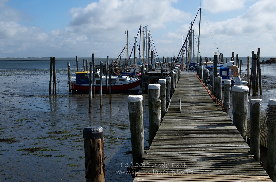 Sylt Rantum Hafen / Wattenmeer