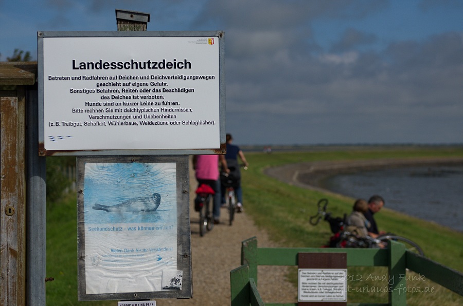 Sylt Rantum Hafen / Wattenmeer