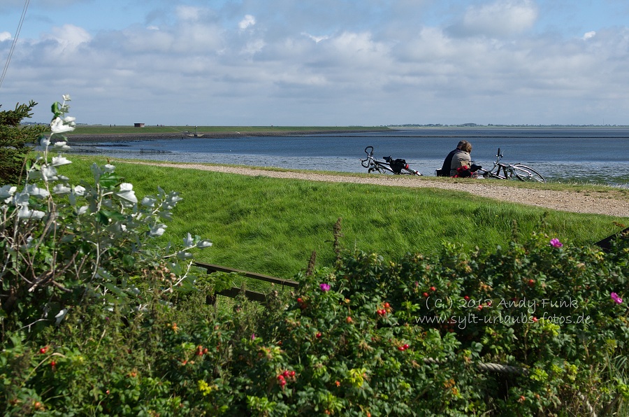 Sylt Rantum Hafen / Wattenmeer