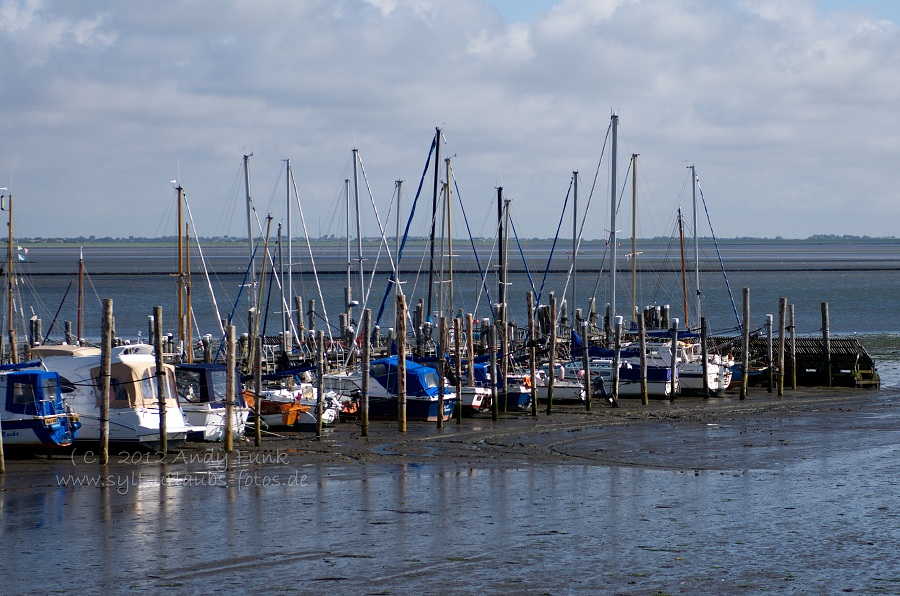 Sylt Rantum Hafen / Wattenmeer