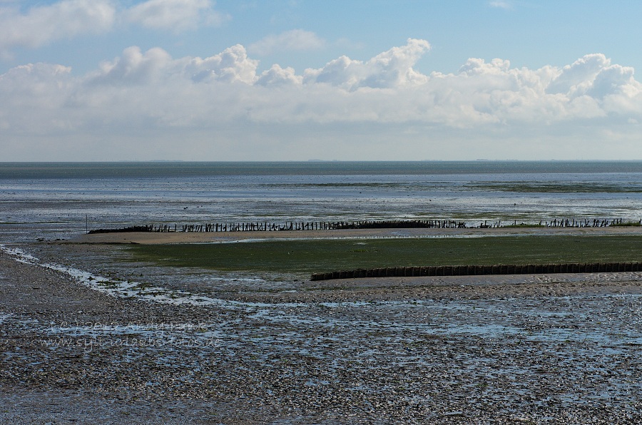 Sylt Rantum Hafen / Wattenmeer