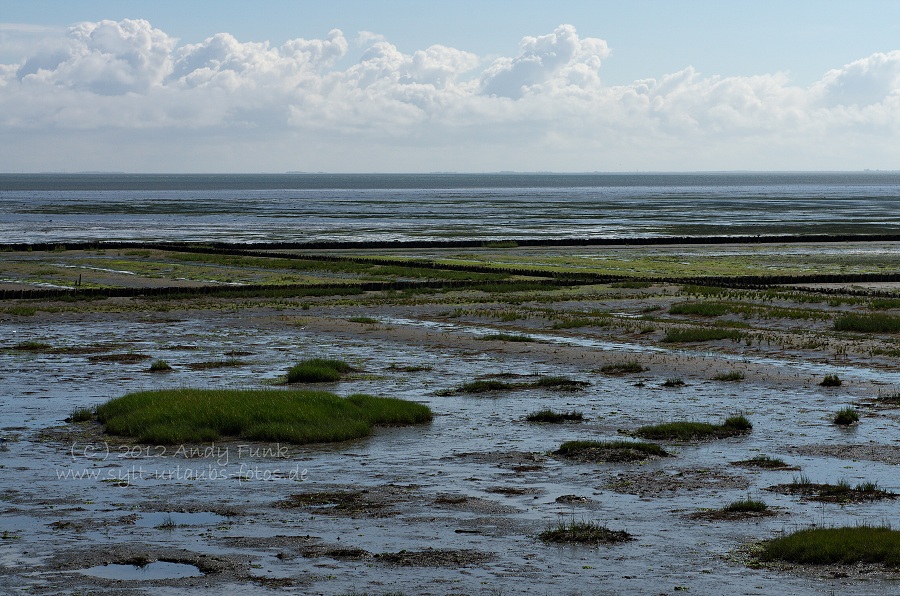 Sylt Rantum Hafen / Wattenmeer