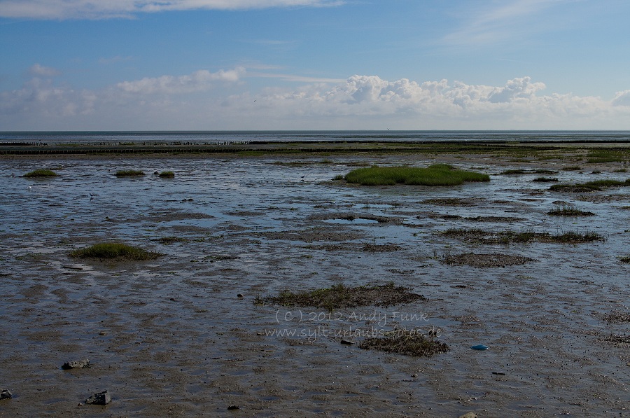 Sylt Rantum Hafen / Wattenmeer