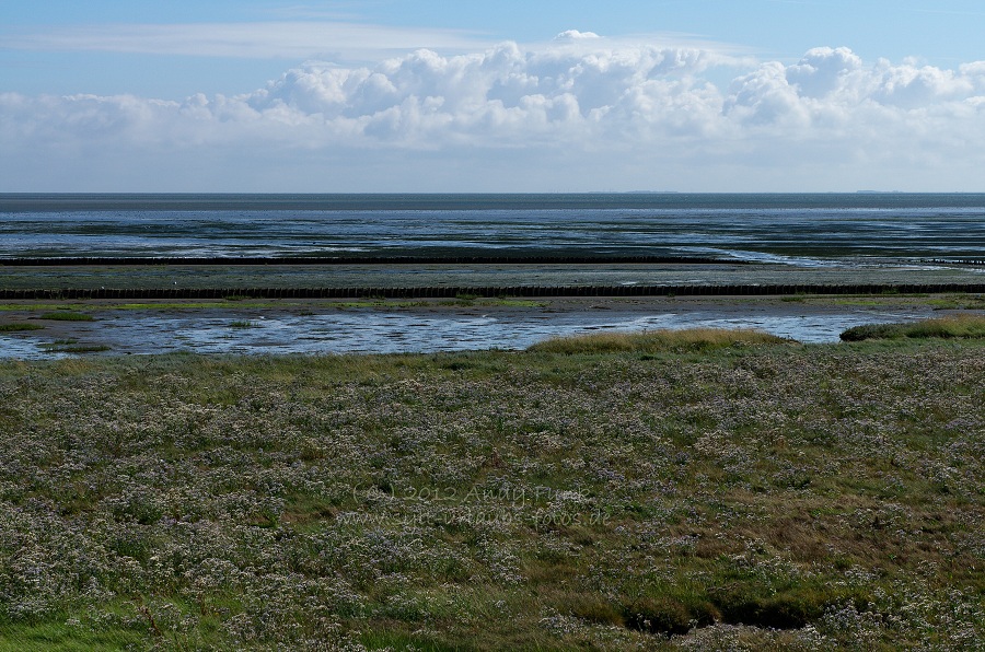 Sylt Rantum Hafen / Wattenmeer