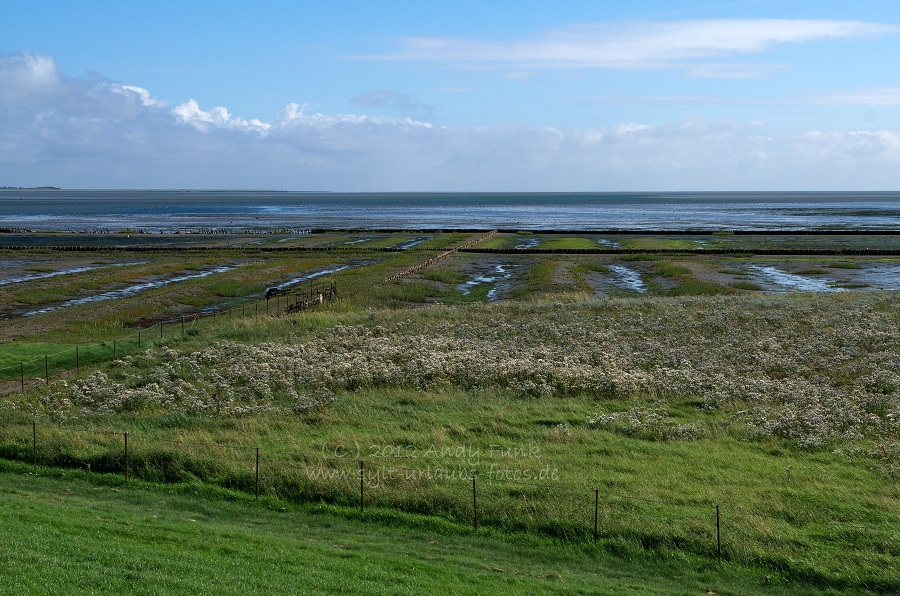 Sylt Rantum Hafen / Wattenmeer