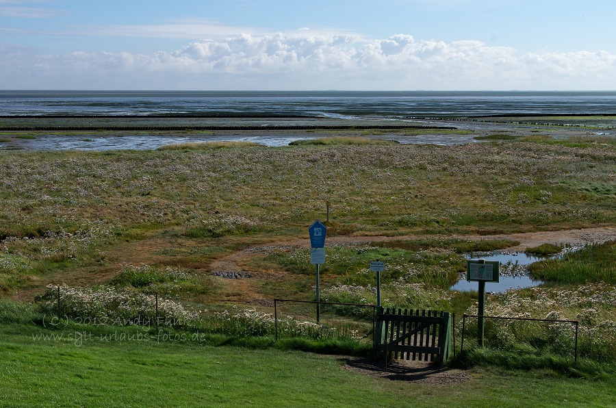 Sylt Rantum Hafen / Wattenmeer